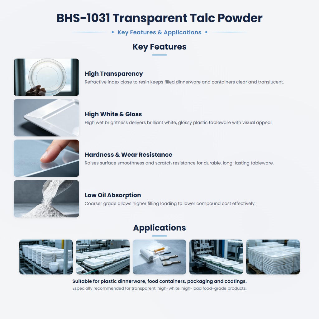 BHS-1031 High-Purity Talc Powder (325 Mesh) for High Transparency and Heat Resistance - Image 2
